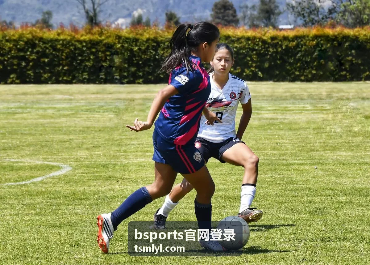 bsports官网登录账号安全设置与设备管理配图