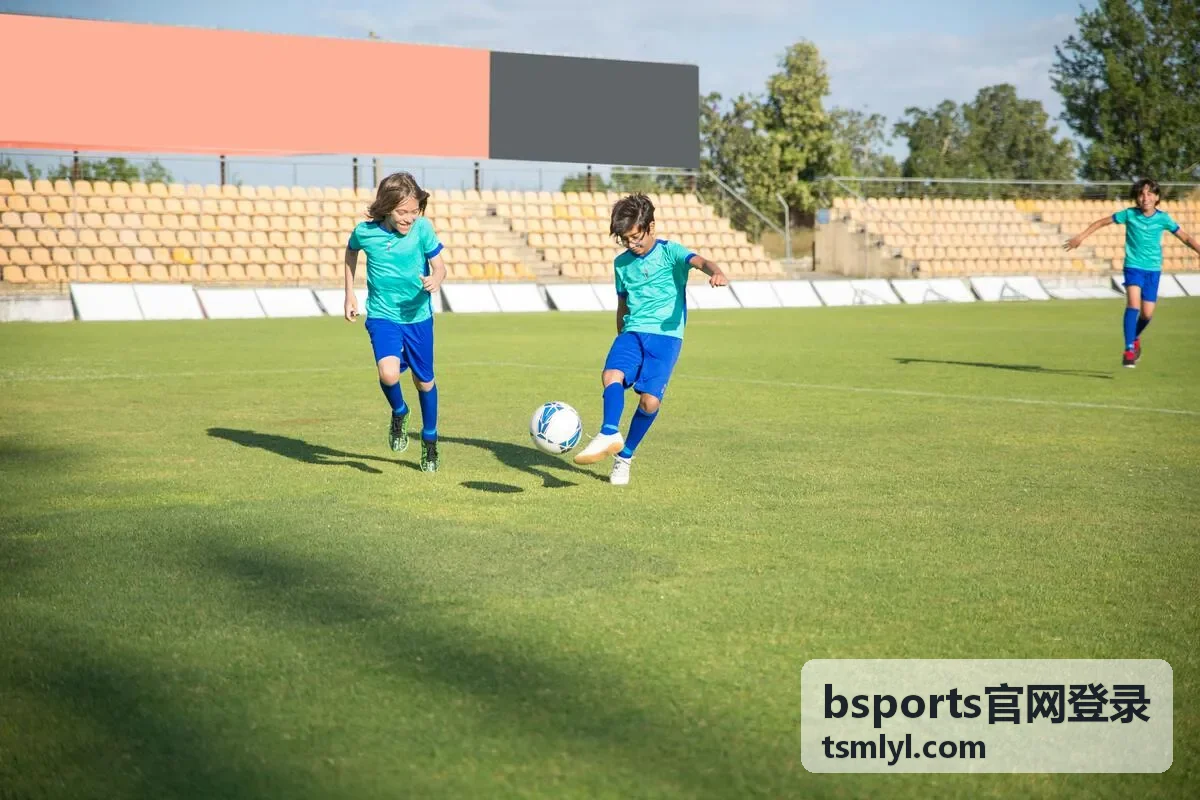bsports官网登录账号与安全登录环境自查示意